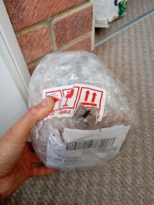 Photos de l'objet d'un acheteur vérifié