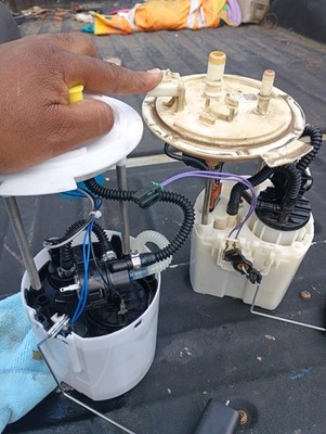 Artikelfoto(s) von einem verifizierten Käufer