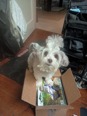 Item photo(s) from verified buyer