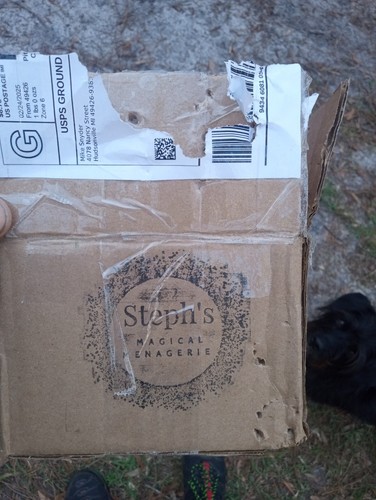 Item photo(s) from verified buyer