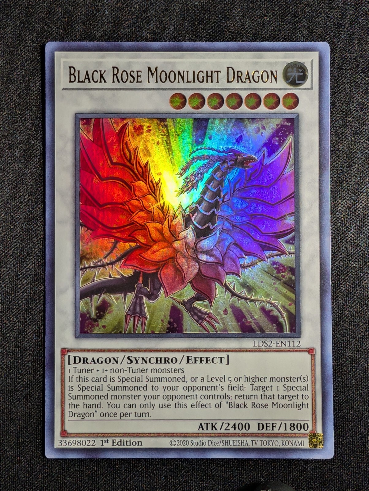 Black Dragon Starry Moon 星月 Black Dragon Starry Moon 星月
