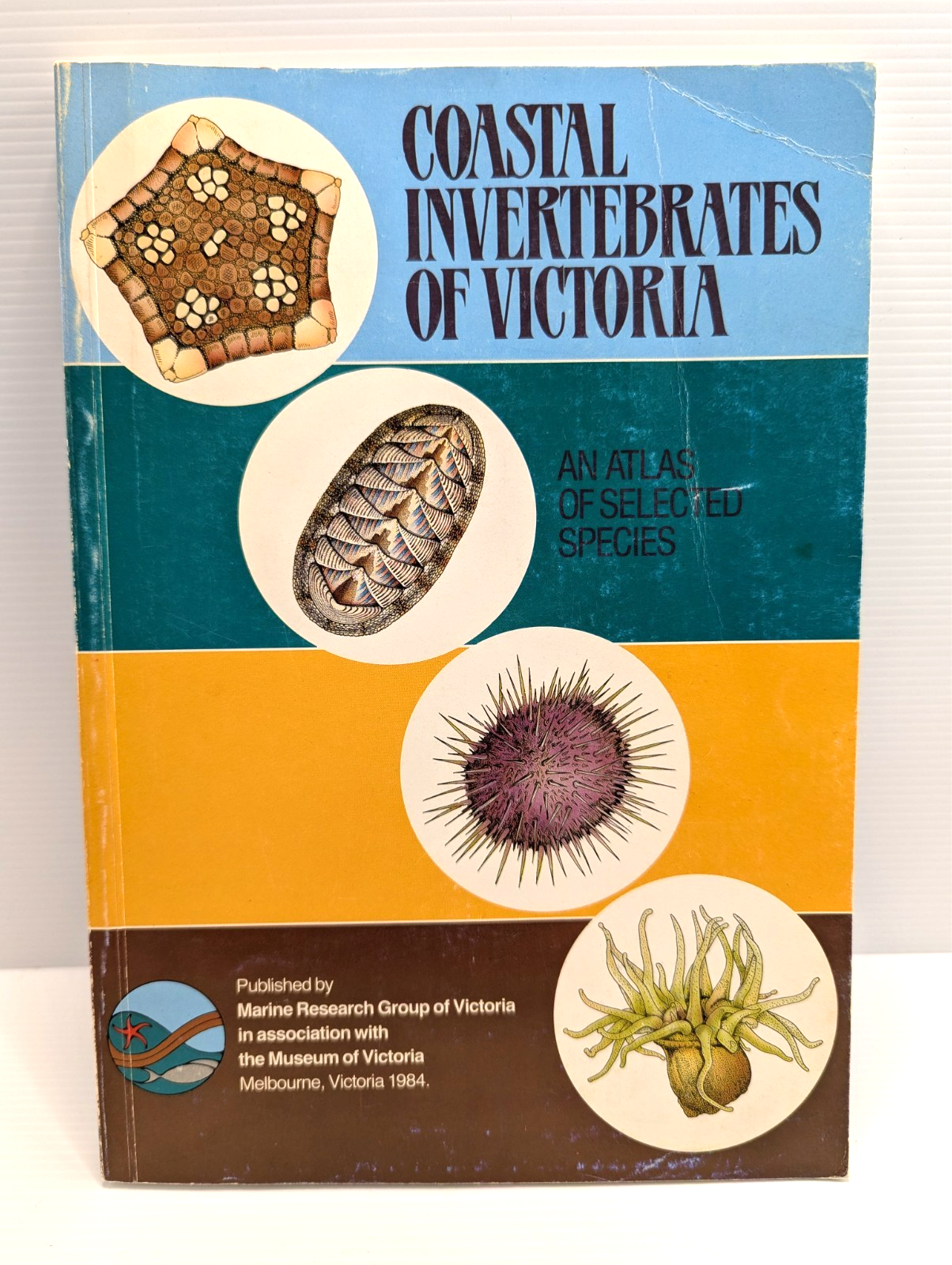 Preview of Coastal Invertebrates Of Victoria