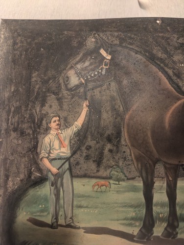 Dr. LeGear Largest Horse Veterinarian Stock Remedies Advertising Medicinal Sign