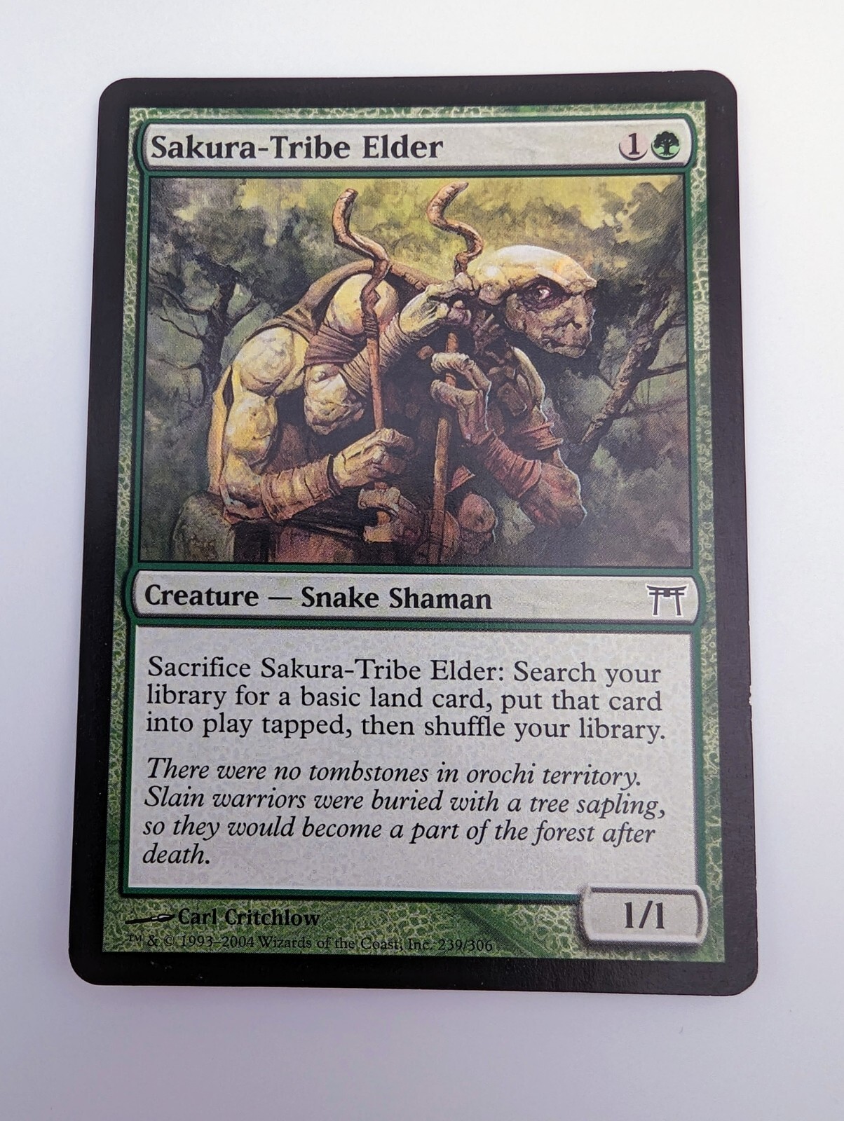 MTG 山 サマー PSA8 Serra's Sanctum Japanese Urza's Saga USG mtg SP | eBay