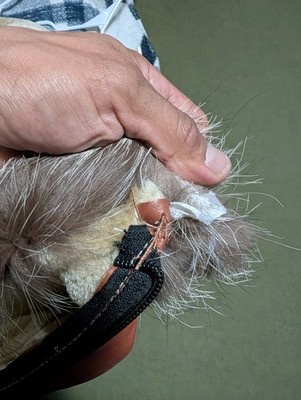 Item photo(s) from verified buyer