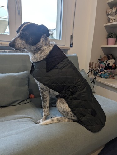 Zdjęcia przedmiotu od zweryfikowanego kupującego