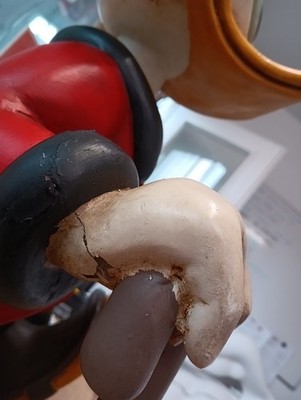 Artikelfoto(s) von einem verifizierten Käufer