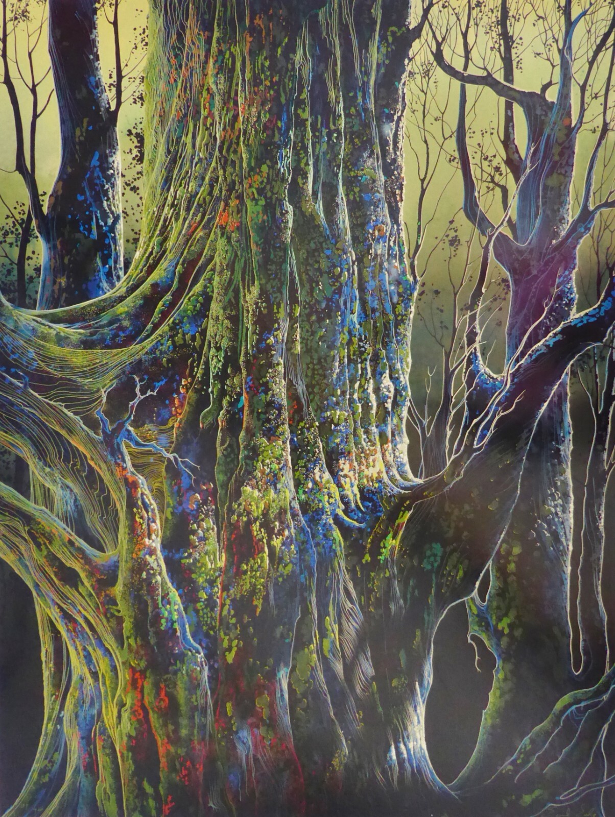 Eyvind Earle Forest Symphony 作品森のシンフォニー Eyvind Earle