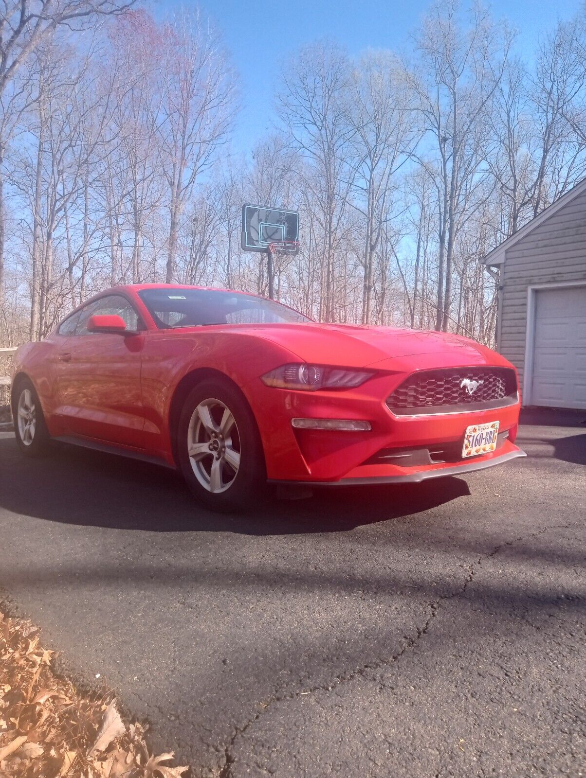 2019 MUSTANG ECOBOOST TURBO