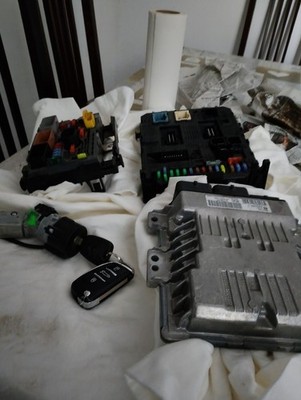 Foto dell'oggetto di un acquirente verificato