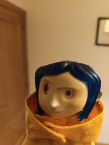 Fotos del artículo de un comprador verificado