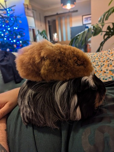 Item photo(s) from verified buyer