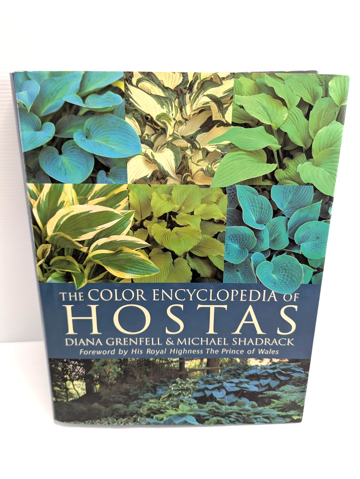 Preview of Color Encyclopedia of Hostas