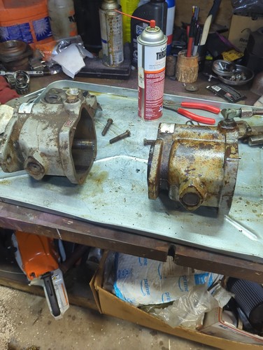 Fotos del artículo de un comprador verificado