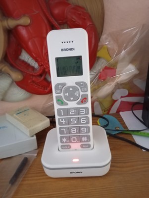 Foto dell'oggetto di un acquirente verificato