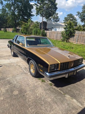 image 24 of exterior