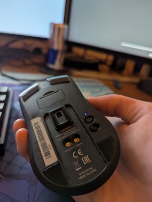 Fotos del artículo de un comprador verificado