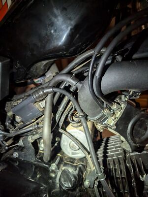 Fotos del artículo de un comprador verificado