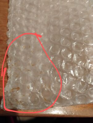 Artikelfoto(s) von einem verifizierten Käufer