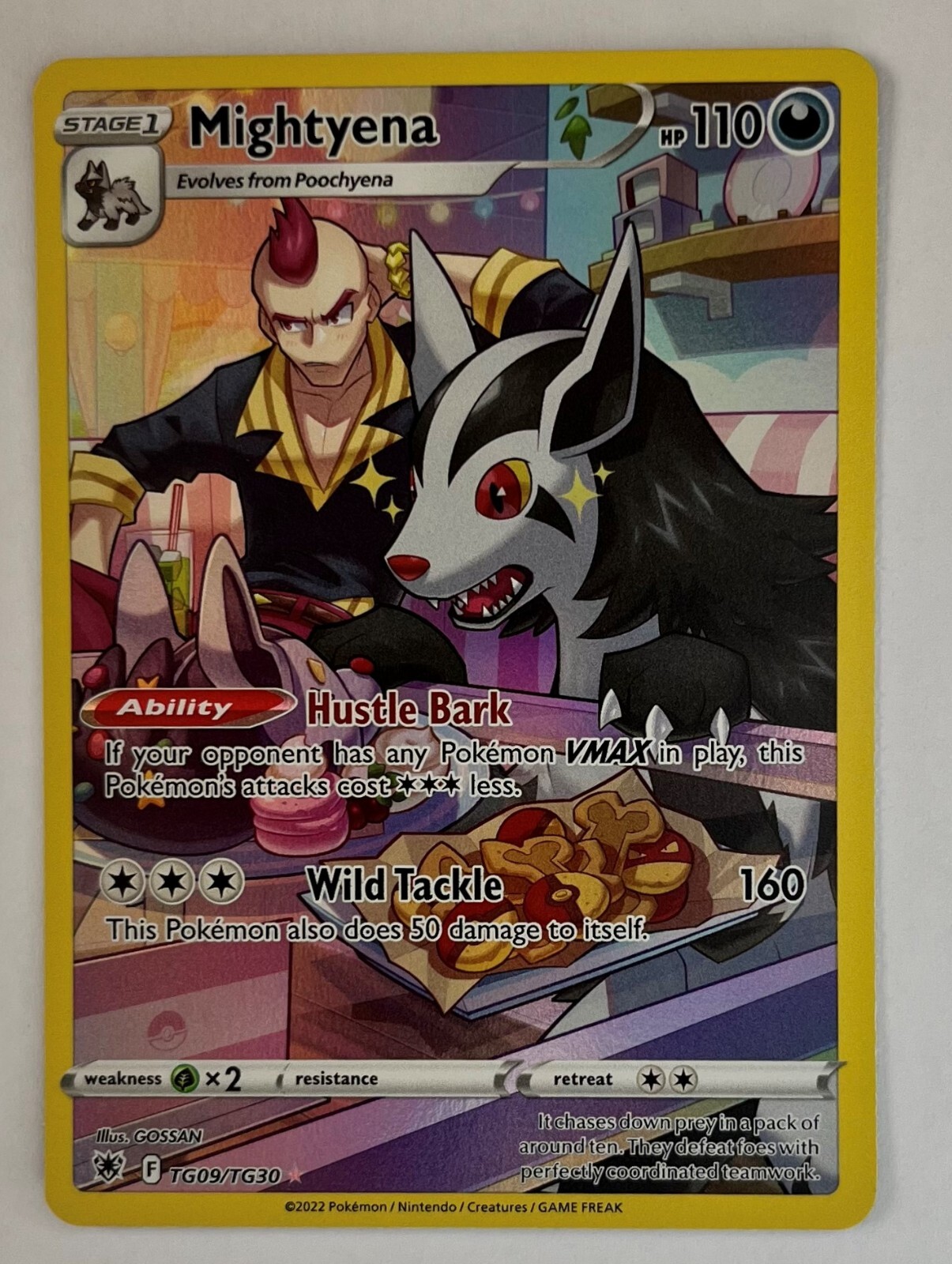 ポケモンカードゲーム Mightyena TG09/TG30 Pokémon TCG Mightyena TG09/TG30 New | eBay