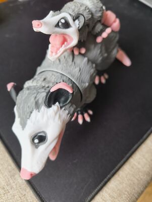 Foto dell'oggetto di un acquirente verificato