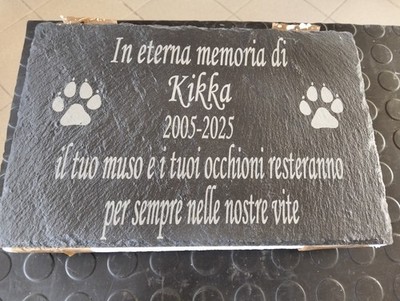 Foto dell'oggetto di un acquirente verificato