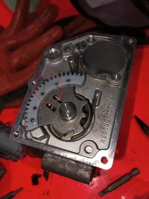 Artikelfoto(s) von einem verifizierten Käufer