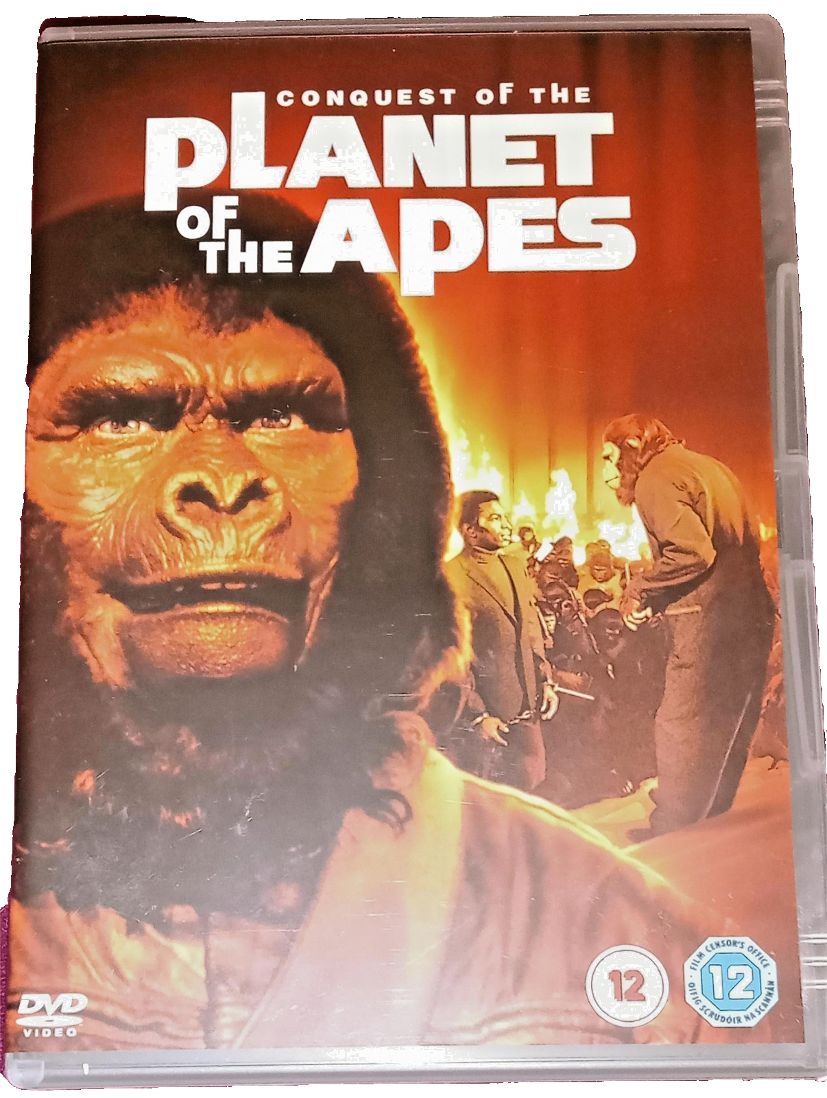 その他 Wild Asia: In the Realm of the Red Ape [DVD] Amazon.com: Wild Asia 1: In the Realm Of The Red Ape [DVD