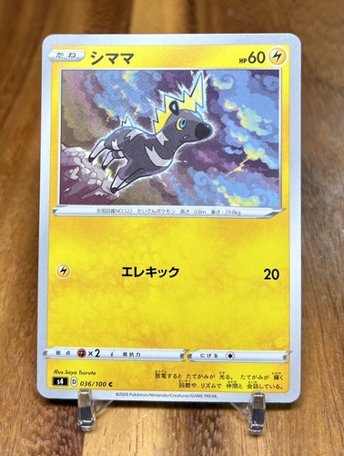 hotaru SYNERGY ALLPURPOSECLEANER1000g×4 Blitzle 036/100 S4 Amazing Volt Tackle Non Holo Pokemon Card