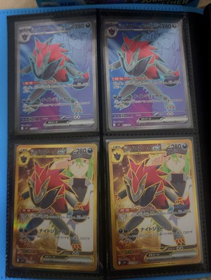 (最終値引き)SALINE 　Z40レッド Pokemon Card N's Zoroark ex SR 117/100 SV9 Battle Partners
