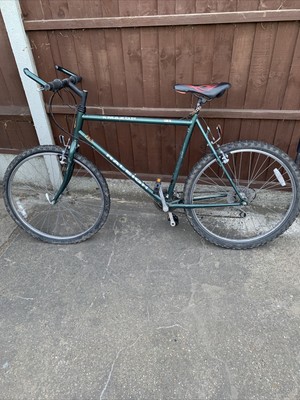 Rayleigh Mountain Bike