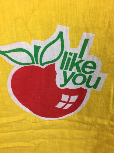 Retro Sleeping Bag Bright Yellow Apples I Like You 70’s Slumber Party
