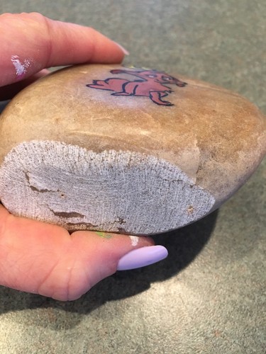 How The Grinch Stole Christmas Max Rock Painting