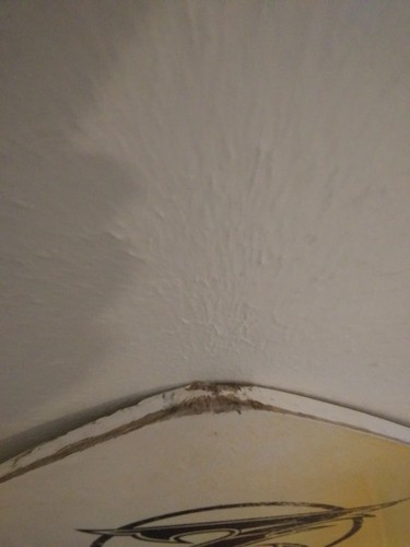 Zap Skimers Skimboard 39x21