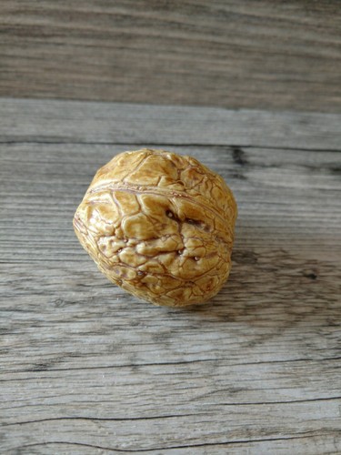 Vintage Old Stone Fruit Walnut Carved Alabaster Nut