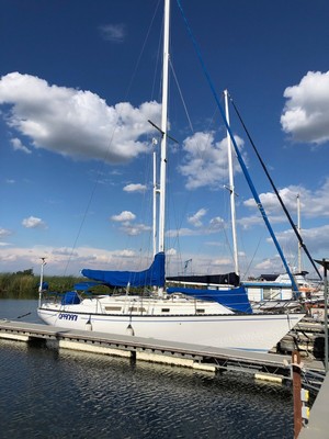 Hunter 37