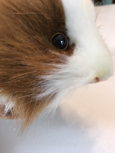 HANSA Plush Toy - Brown and White Guinea Pig New With Tags Portraits Of Nature