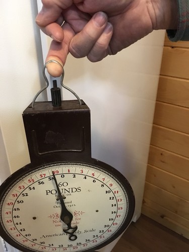 American Family Hanging SCALE,Farm Produce 60 pounds Reads Pat. Oct. 29, 1912