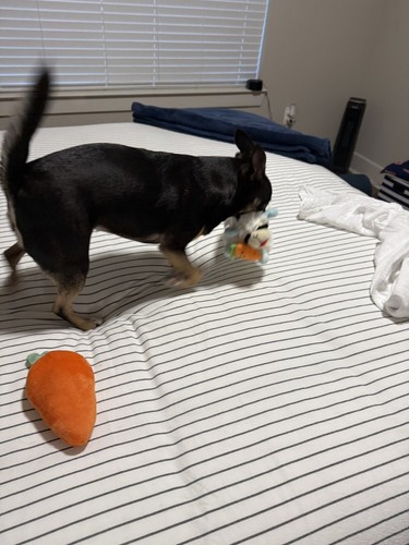 經驗證買家提供的物品圖片