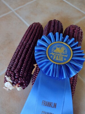 Jimmy Red Corn - Heirloom Dent Corn For Seed  or Milling - 1/2 pound