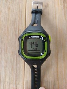 garmin forerunner 15 australia
