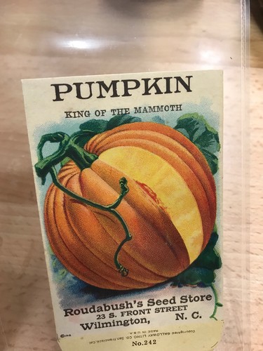 ANTIQUE 1918 PUMPKIN SEED PACKET / ROUDABUSH SEED STORE, N.C.
