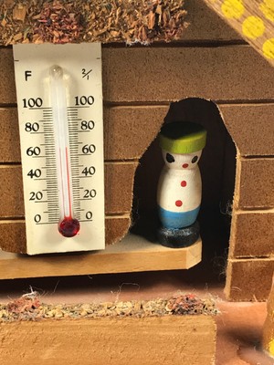 Vintage wood hand-carved japan weather wizard predictor folk art