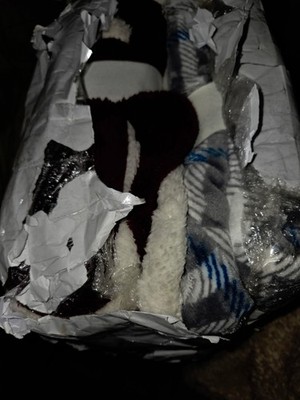 Item photo(s) from verified buyer