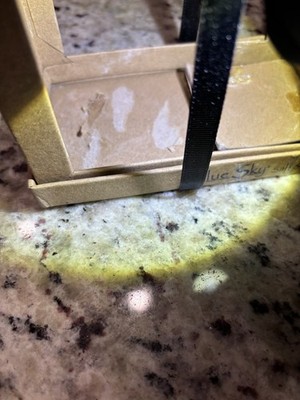 Item photo(s) from verified buyer