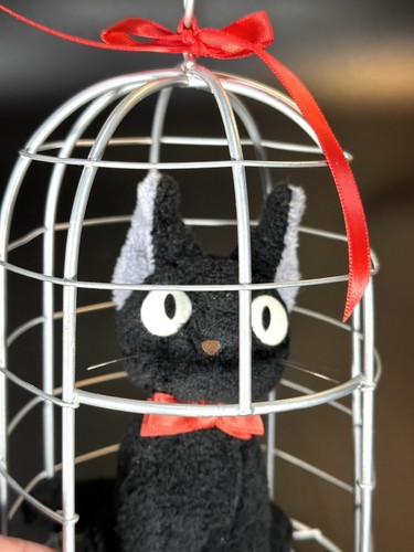 kiki  _12.JPG?set_id=880000500F