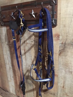 BioThane Nylon Curb Strap Berlin Custom Horse Tack Headstall Pink Web Beta 5//8/"