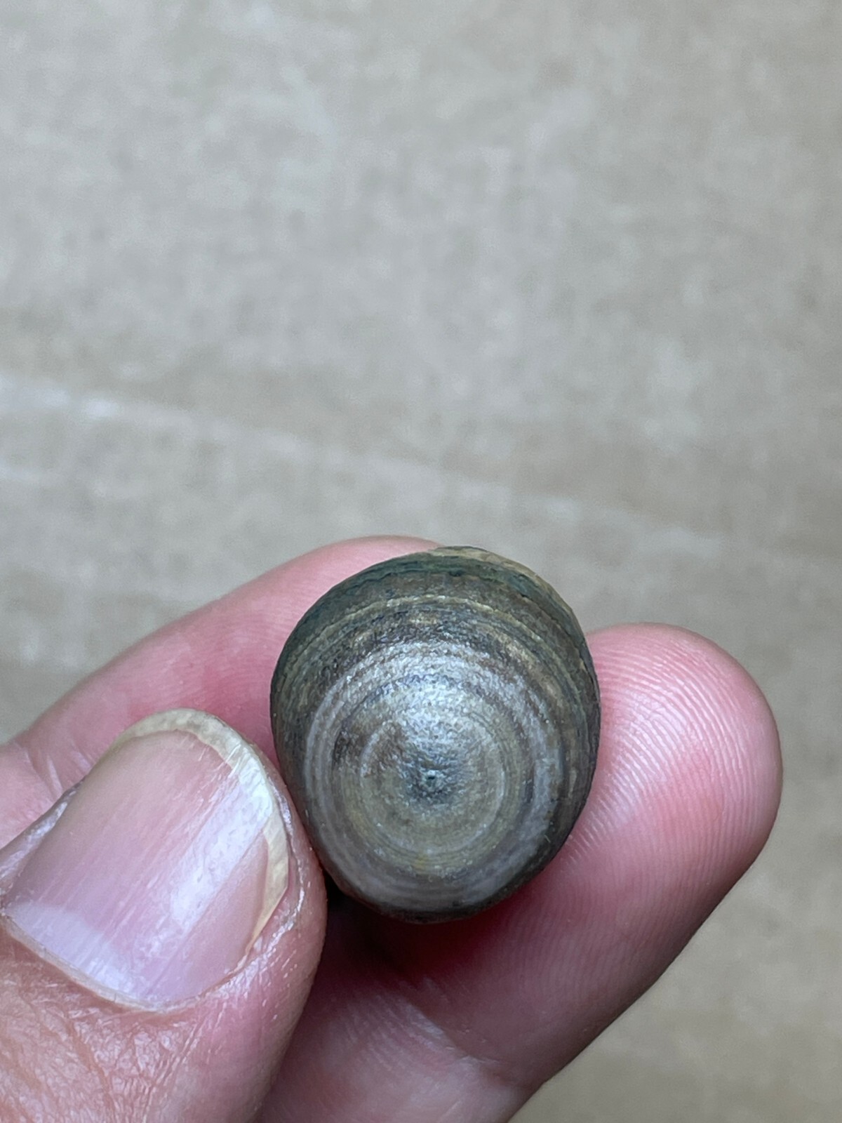 【コレクターズアイテム】ゴビアゲート 22mm Natural Gobi agate eye agate stone specimen collection | eBay