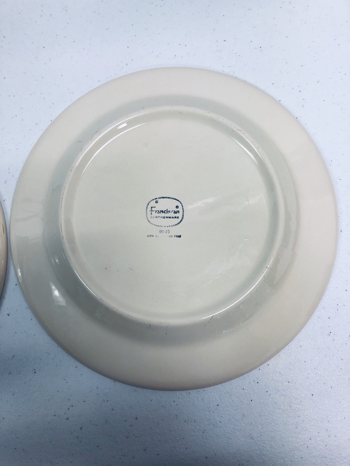 Franciscan Earthenware Interpace Floral Dinner Plates SET of 2 USA 70s Vtg MCM