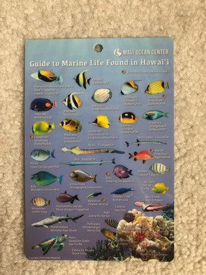Hawaii Marine Life Guide Card from Maui Ocean Center, Franko Maps Ltd